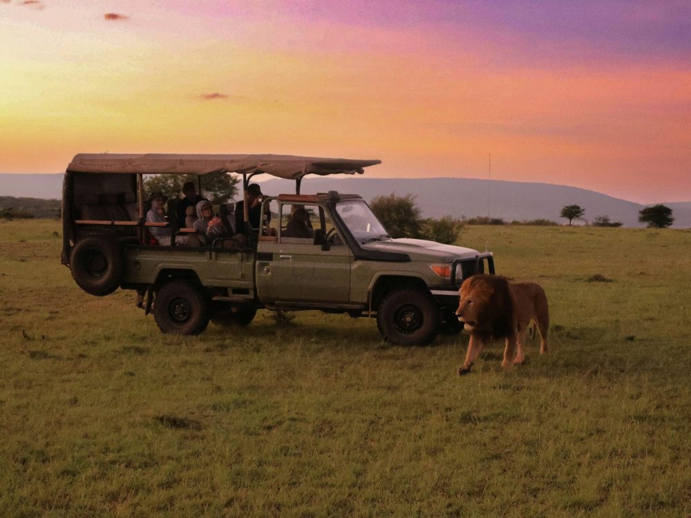 meg-von-haartman-Q3YmoeoQ9g0-unsplash